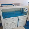 Live Shellfish Tank $700